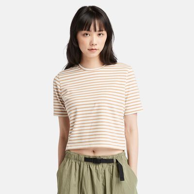 レディース 半袖 ストライプ ベビー Tシャツ