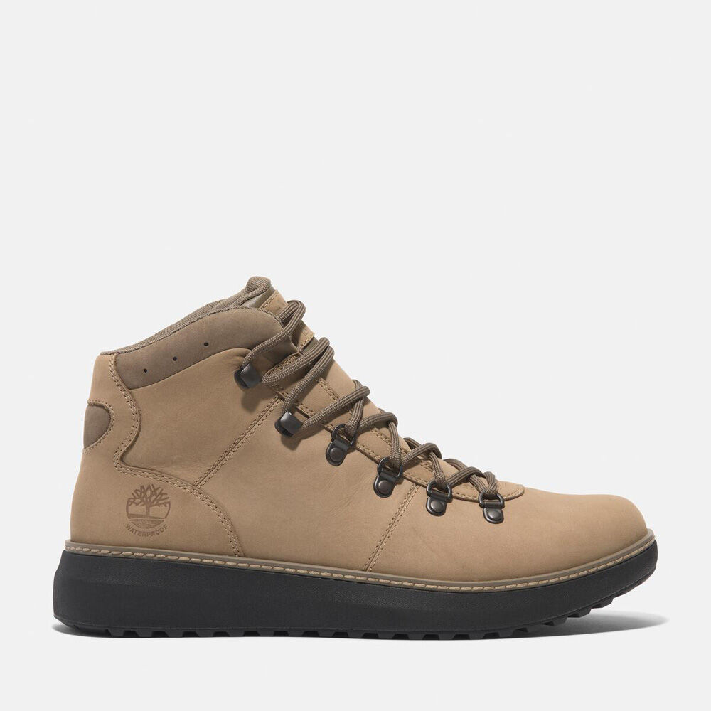 チャッカブーツ（メンズ） ｜【Timberland公式通販