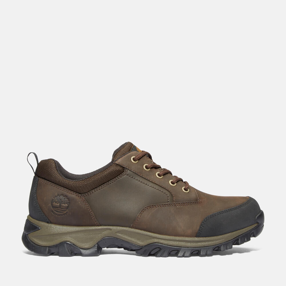 新着 BROWN ｜【Timberland公式通販】ティンバーランド