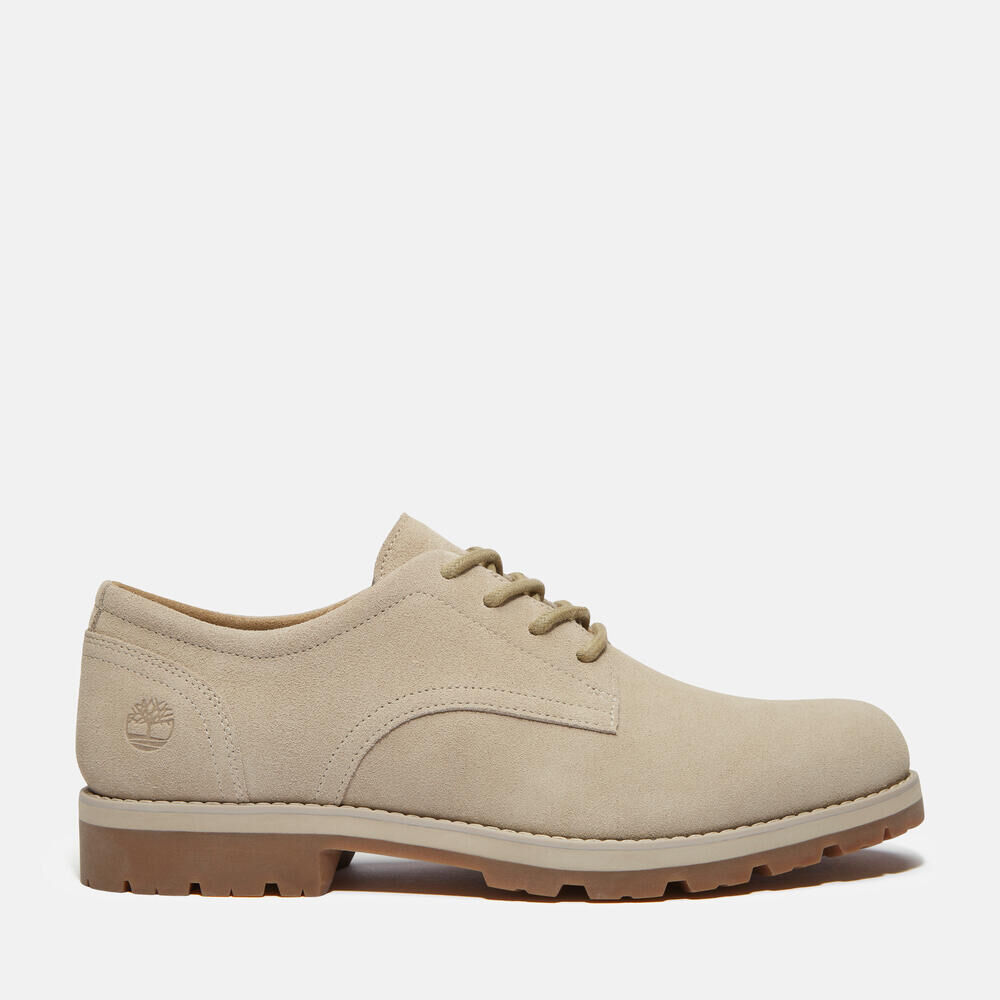 オックスフォード/ビジネスシューズ（メンズ） ｜【Timberland