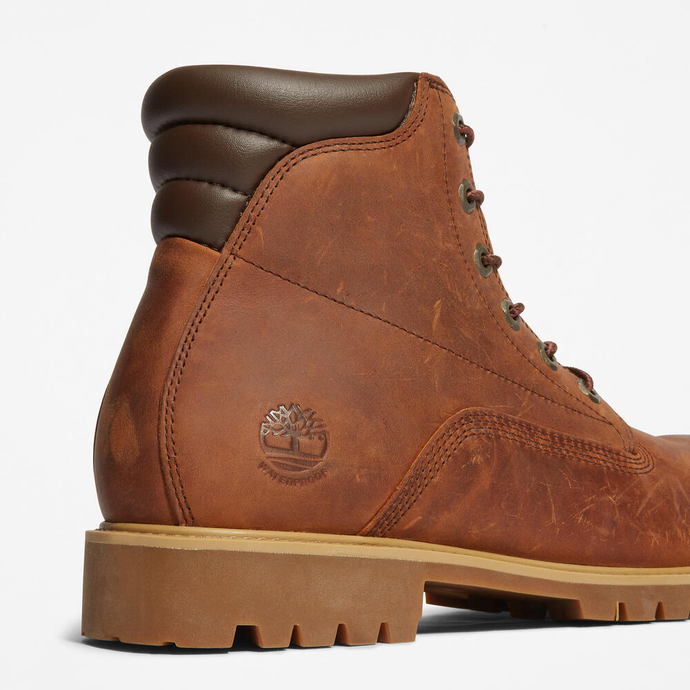 Amazon | Timberland メンズ 6インチ プレミアム防水ブーツ, フォックストロット, 11 | Timberland(ティンバーランド)  | ブーツ