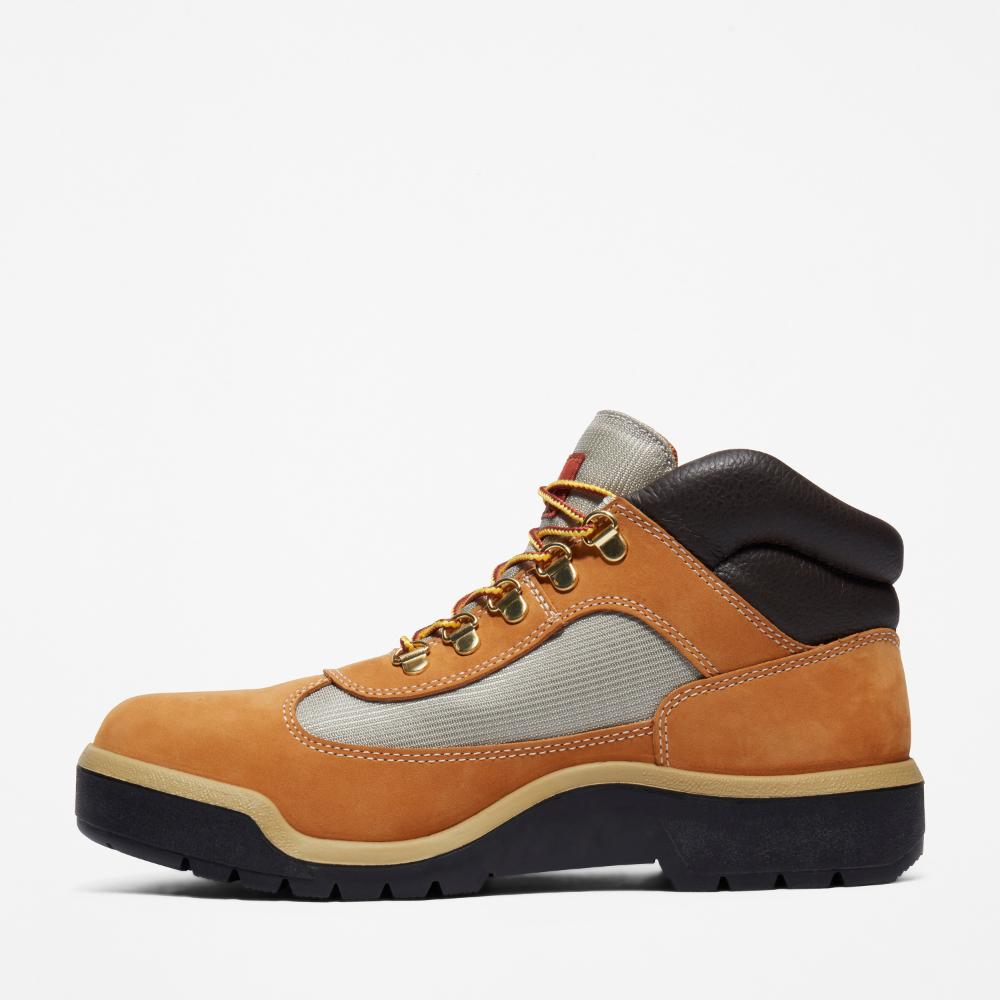 ウォータープルーフ フィールド ブーツ メンズ ｜【Timberland