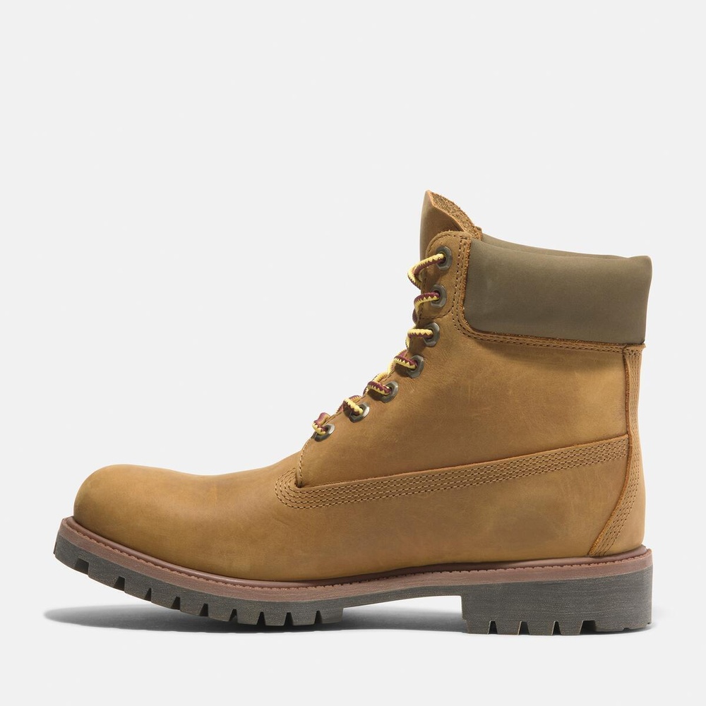 Timberland 23cmウォータープルーフ ウォータープルーフ/防水（メンズ） |【Timberland公式通販