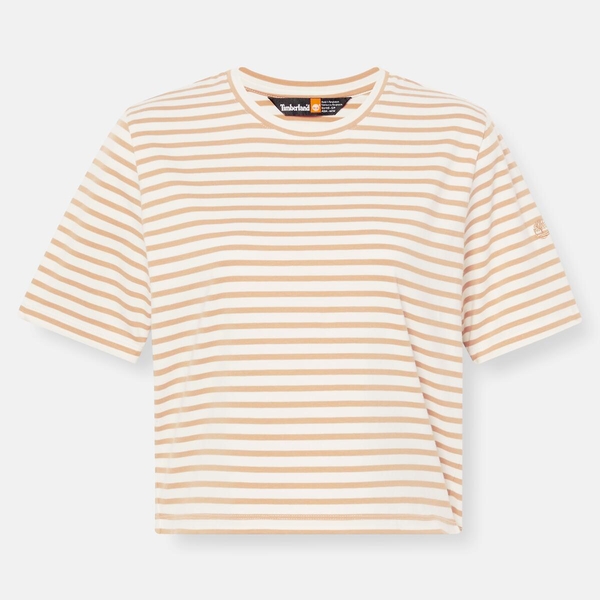 レディース 半袖 ストライプ ベビー Tシャツ image number 4