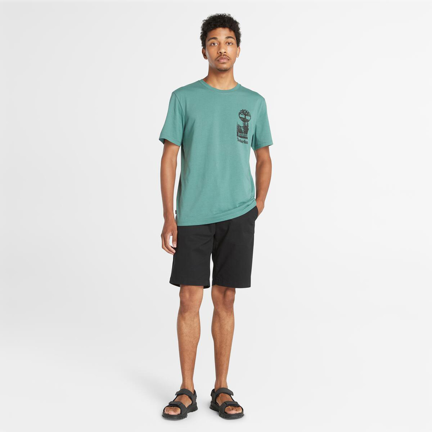 メンズ 半袖 プリント Tシャツ image number 1