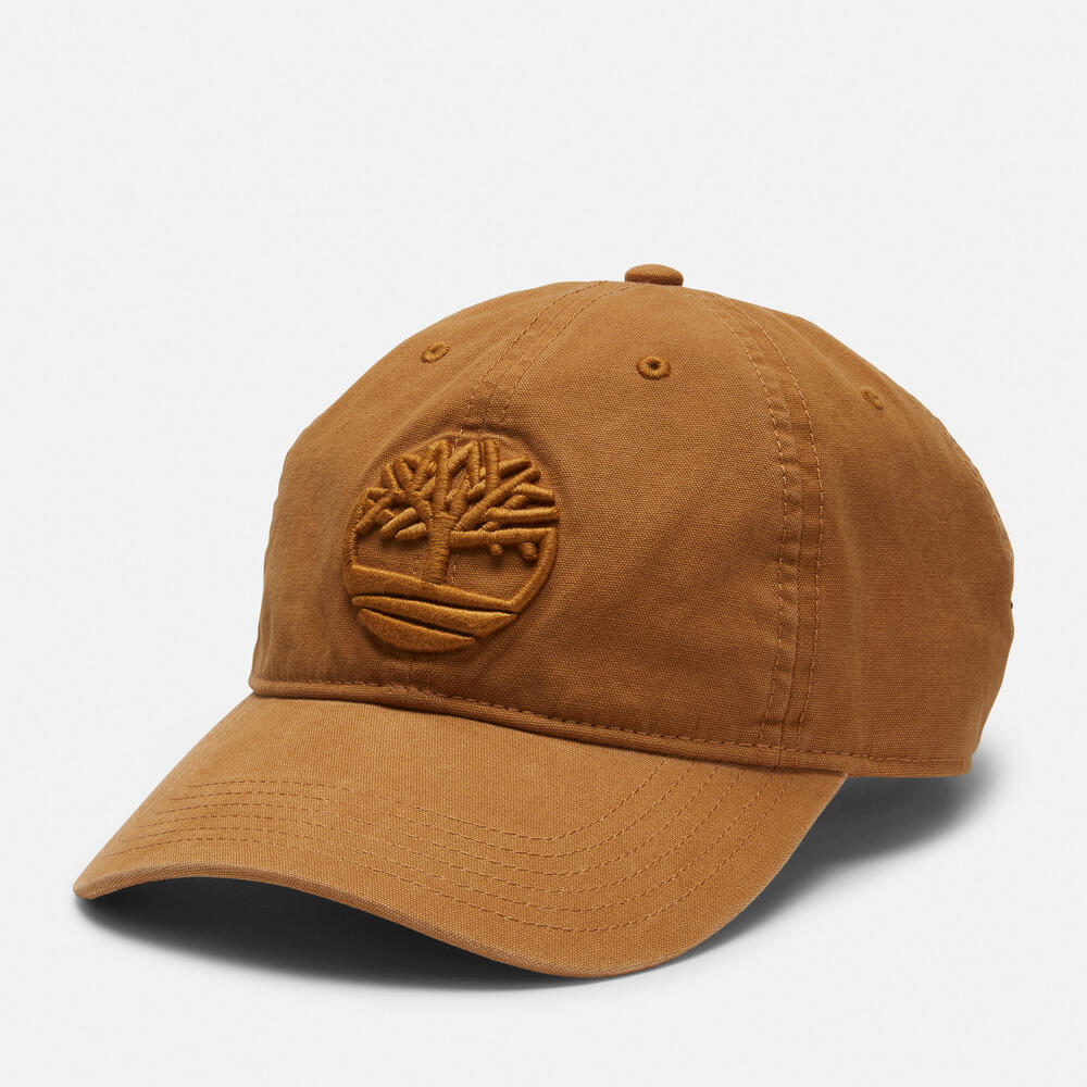 オールジェンダー ツリーロゴ ベースボール キャップ image number 0