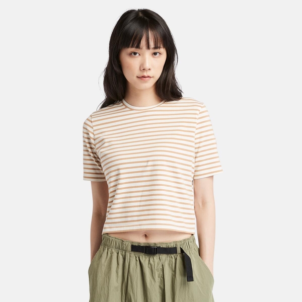 レディース 半袖 ストライプ ベビー Tシャツ image number 0