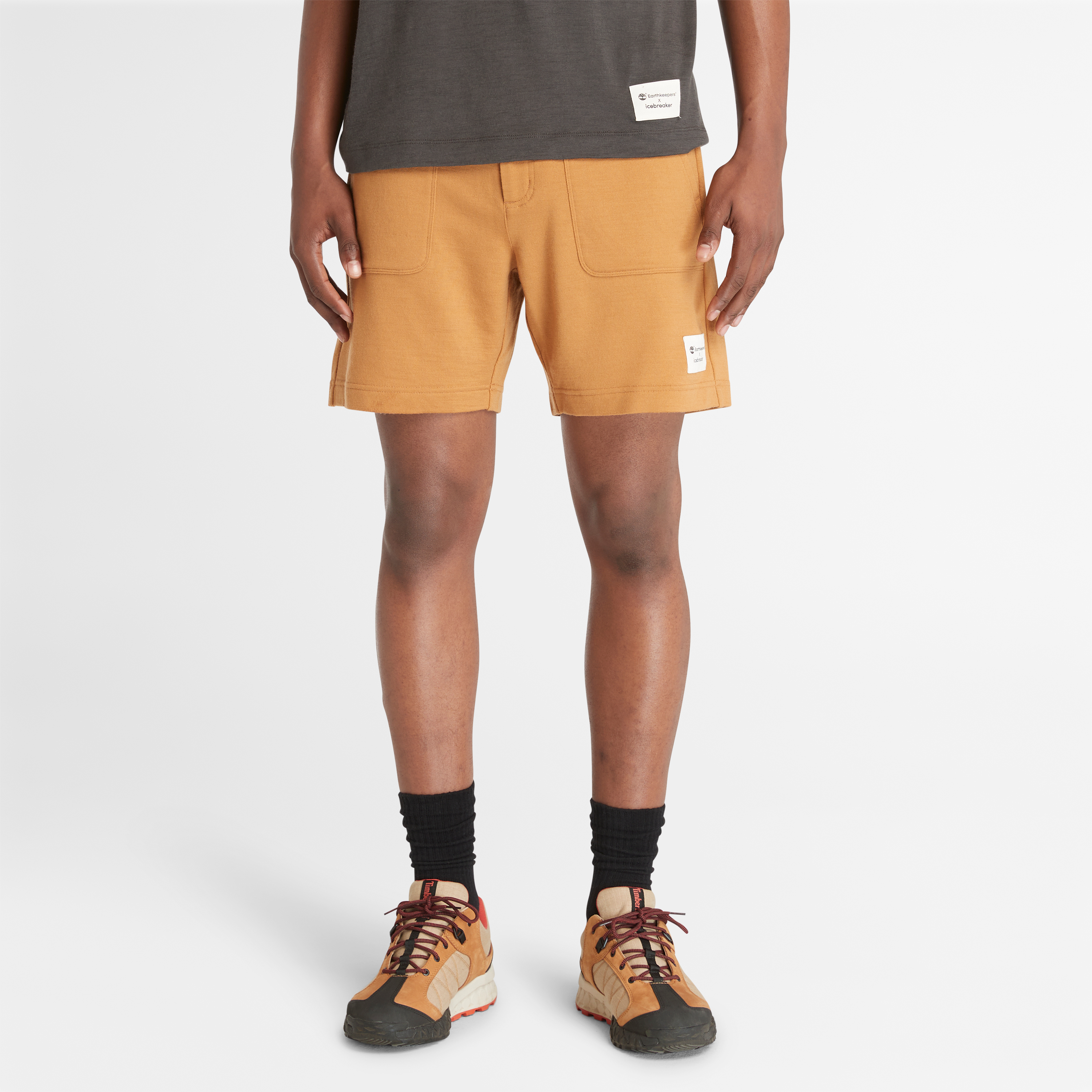 【Icebreaker x Timberland】 メンズ メリノ テリー チノ ショーツ image number 0
