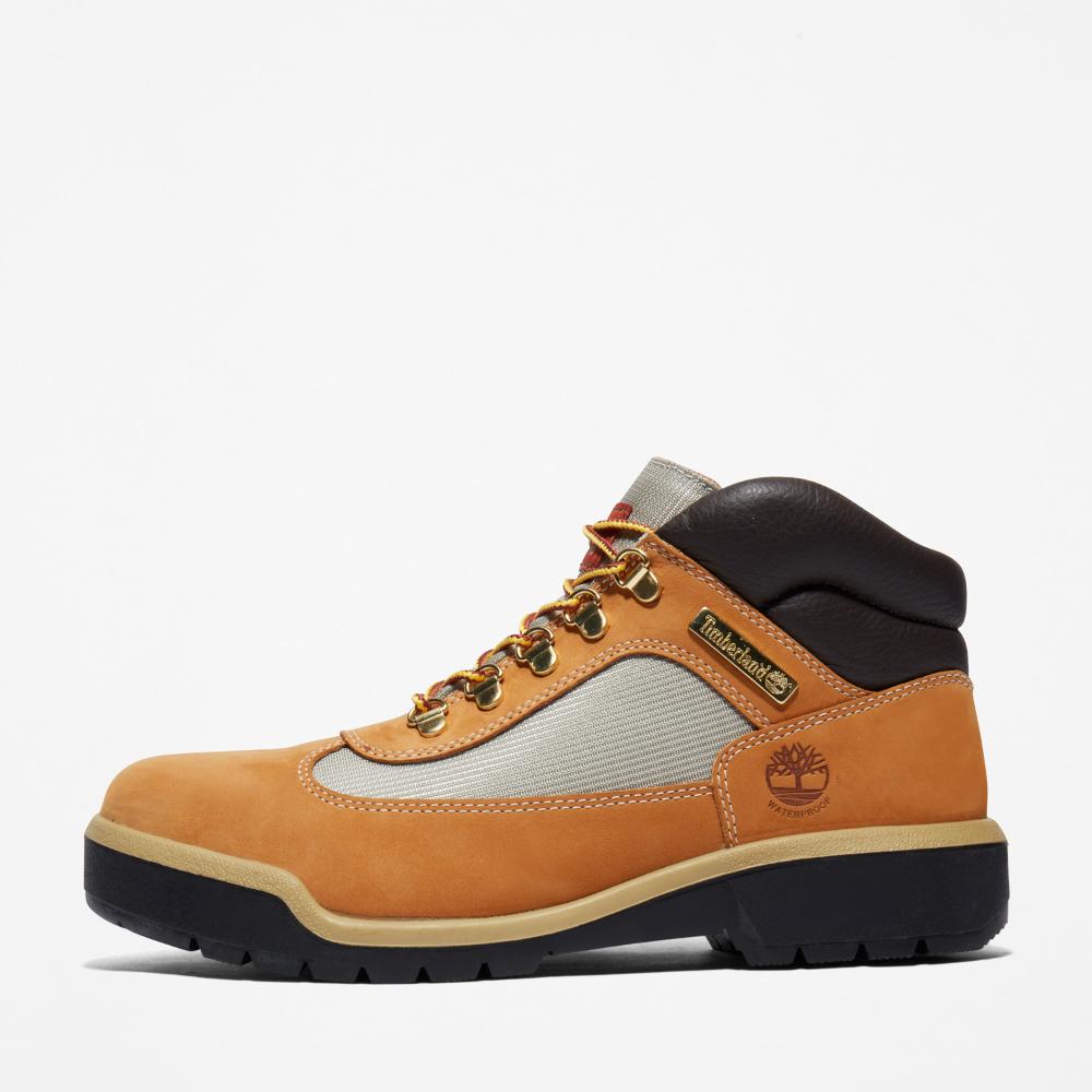 ウォータープルーフ フィールド ブーツ メンズ ｜【Timberland