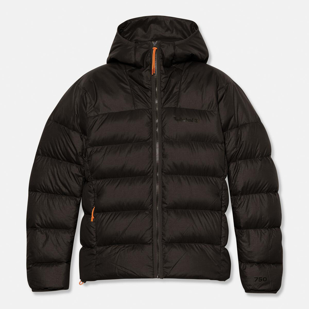 ベア ヘッド スーパー グース ダウン フーデッド ジャケット メンズ image number 5