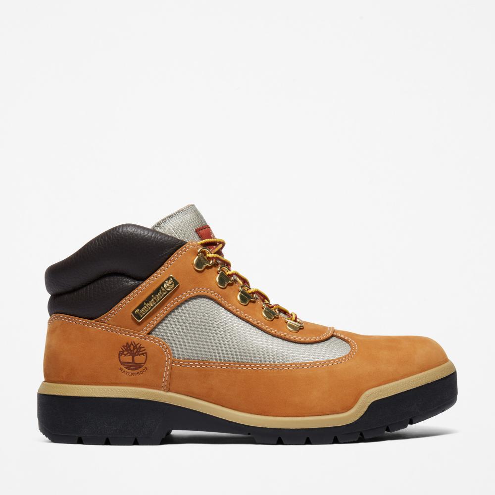 ウォータープルーフ フィールド ブーツ メンズ ｜【Timberland