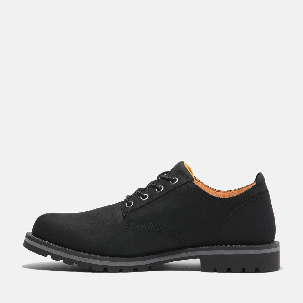 Timberland ストームバックス　防水　レースアップシューズ サイズ10 ストームバックス レース アップ ウォータープルーフ シューズ