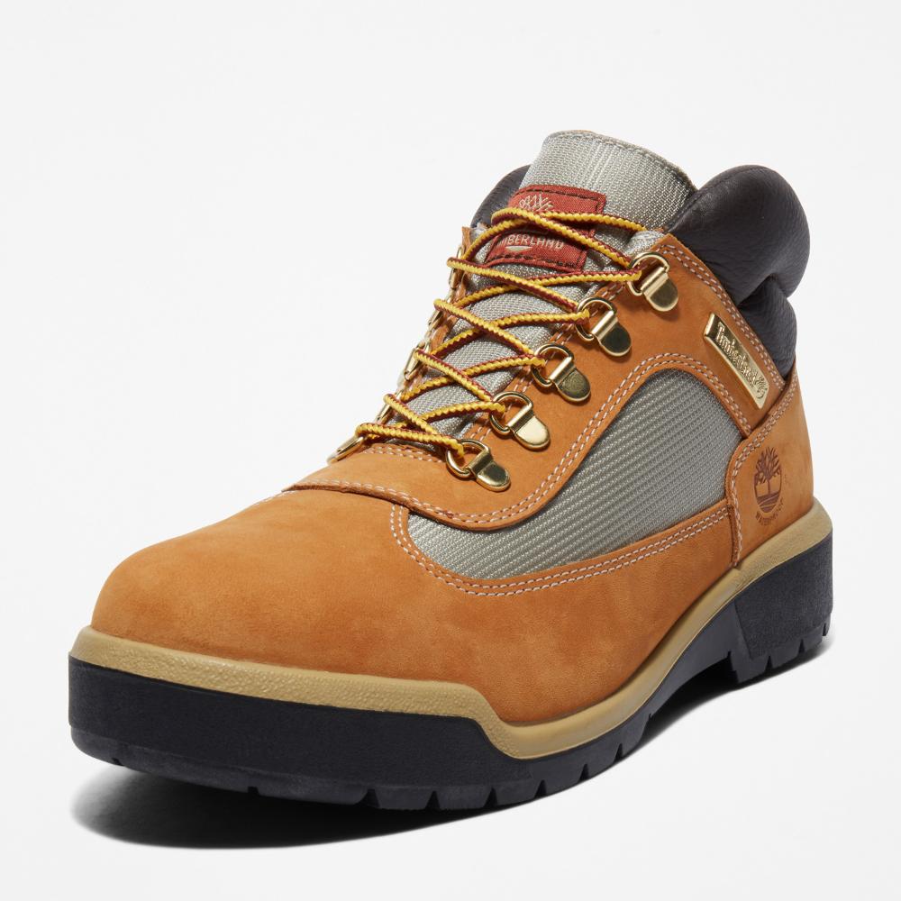 ウォータープルーフ フィールド ブーツ メンズ ｜【Timberland