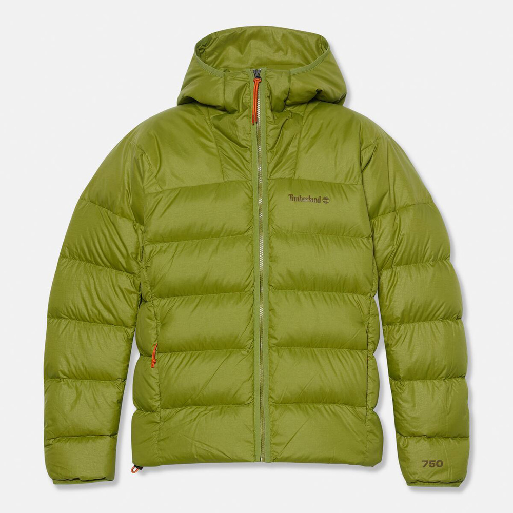 ベア ヘッド スーパー グース ダウン フーデッド ジャケット メンズ image number 5